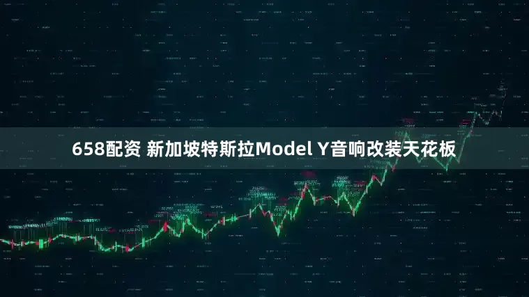 658配资 新加坡特斯拉Model Y音响改装天花板